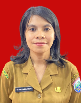 Profil